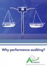 why_performance_audit