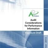 Audit_Considerations_for_Performance_Information