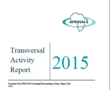 Transversal Activity Activity Report 2015
