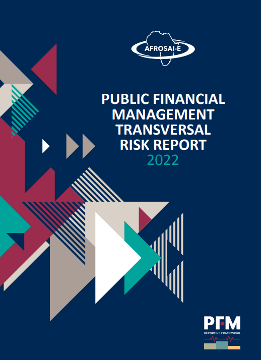PFM Transversal Risk Report 2022_cover
