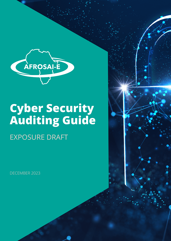 Cyber Security Auditing Guide