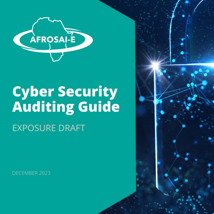 Cyber Security Auditing Guide