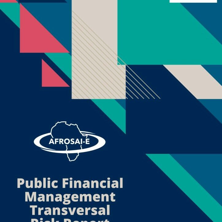 PFM Transversal Risk Report 2023_cover
